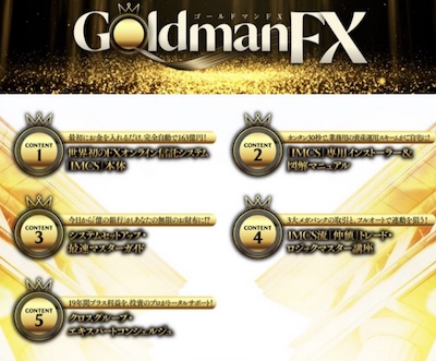 ゴールドマンFXの内容